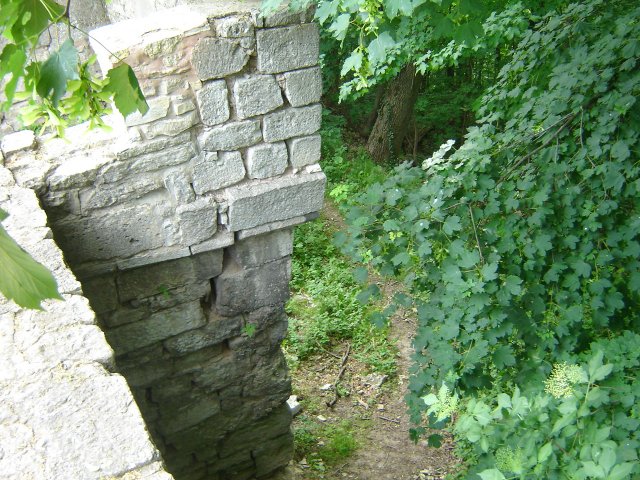 DSC03030